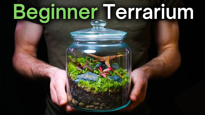 How To Make a Terrarium: An In-Depth Tutorial
