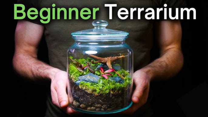 Build a Terrarium Coffee Table – Step-by-Step! 