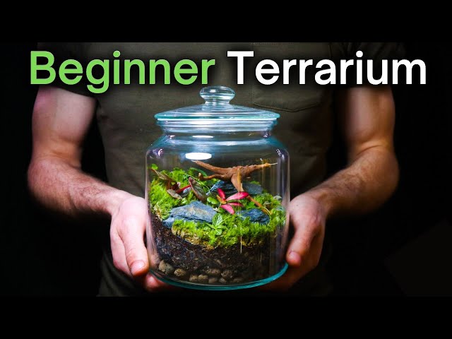 How to Make a Desert Terrarium (Step-by-Step) + Ideas - Terrarium Tribe