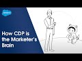 How CDP is the Marketer's Brain| Salesforce Illustrated
