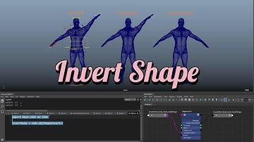 Maya Real-Time InvertShape Node ( C++ API )