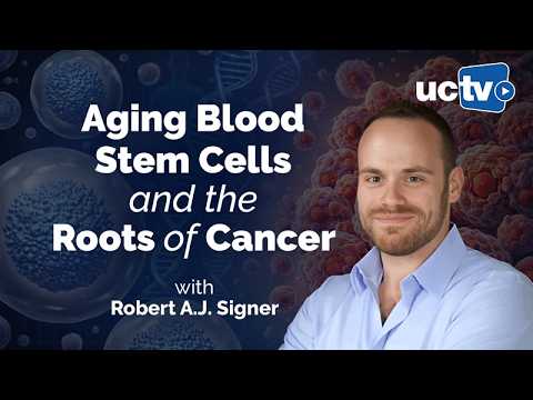 Aging Blood Stem Cells and the Roots of Cancer