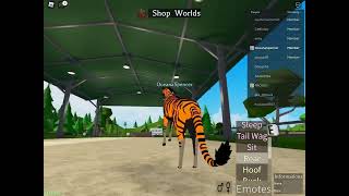 What Cab The Tiger Horse Do?Roblox Horse World