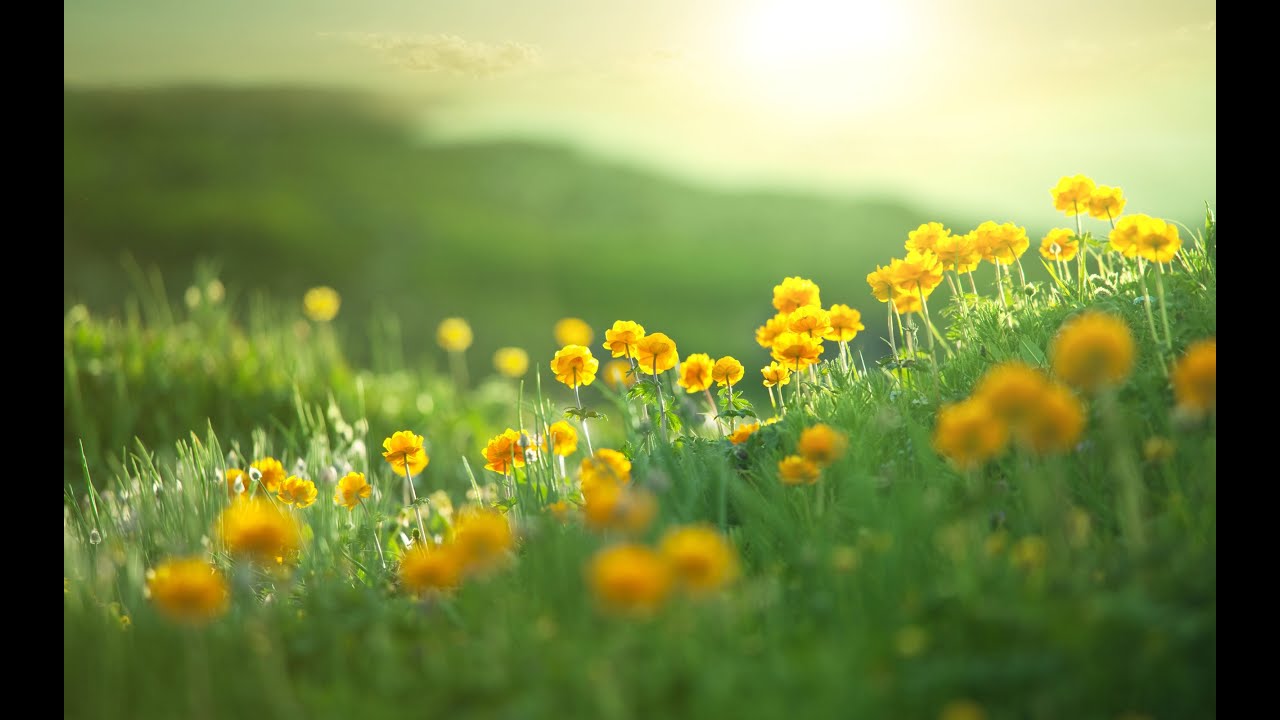 Stress Relief Relaxing Classical Music Gentle Flying Music 4Dec YouTube relaxing-classical-music-quilts-3-hours-stress-relief-inspiration