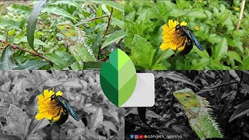 Selective Color Editing using Snapseed!