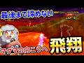 1.2周目ボロボロになりながらも最後にマグマを越えた者が勝つ!!【マリオカートWii】
