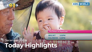 (Today Highlights) December 3 SUN : The Return of Superman and more | KBS WORLD TV