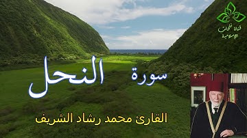 المصحف المرتل | القارئ محمد رشاد الشريف _ سورة النحل