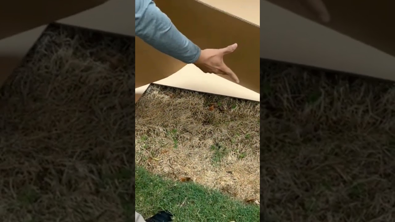 Lay cardboard sheet mulch to smother weeds and grass.