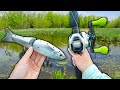 Fishing with the worlds first all metal swimbait  game changing