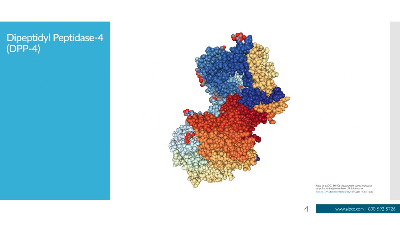 How DPP-4 Complicates Measuring GLP-1 Accurately - YouTube