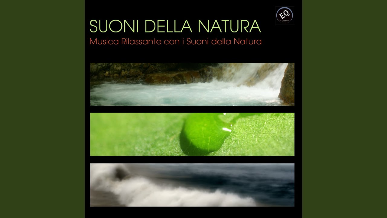 Onde del Mare (Suoni rilassanti della natura) - YouTube