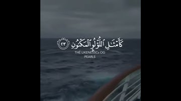 تلاوة هادئة..😴🖤 || القارئ : عمير شميم ||✨🌷