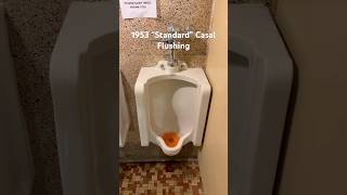 1953 “Standard” Casal Flushing! #toilet #toiletflush #plumbing