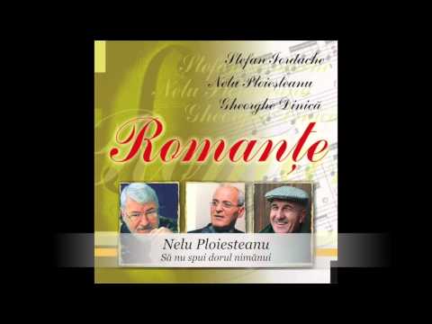 Nelu Ploiesteanu - Sa nu spui dorul nimanui
