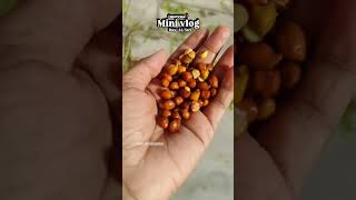 "Aj ka simple vlog "
