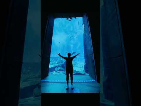 The Lost Chambers Aquarium – Atlantis Dubai