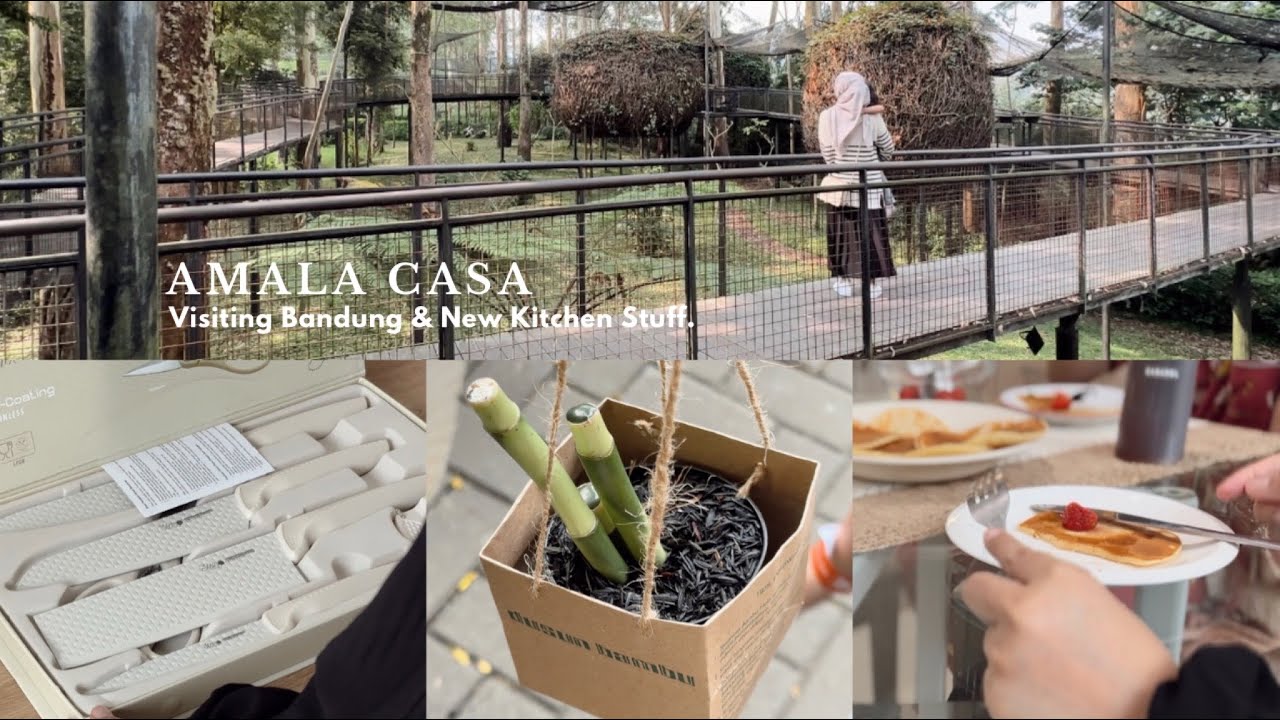 Посещение парка и зоопарка Лембанг | Простые рецепты блинов