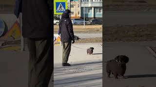 Активный выходной 🤍✨