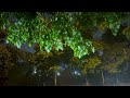 Night Rain on City Streets – Soothing Rain Sounds to Sleep, Study and Relax