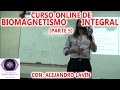 Tipos de imanes, pH y Biomagnetismo - Alejandro Lavín