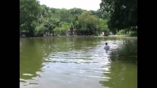 EL REMATE 1 (mi pueblo) Comala,Colima Méx.