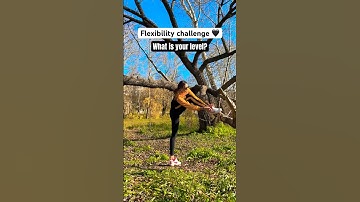 Flexibility challenge / over split challenge / Lera the gymnast #gymnast #oversplit #challenge