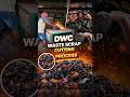 DWC Waste Scrap Cutting Process | Powerful Plastic Recycling Machine in Action | #shorts #recycling
