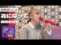花になって Ryokuoushoku Shakai Hana Ni Natte アニメ 薬屋のひとりごと OP Cover By R N 