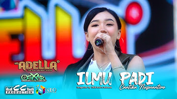 ILMU PADI - Cantika Nuswantoro - OM. ADELLA - CUMI CUMI Audio - OSXAR Community 2024