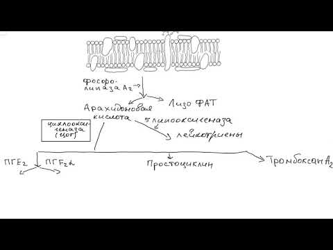 Нестероидные противовоспалительные средства (НПВС).