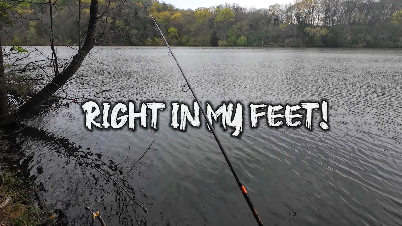 Bank Fishing II - Let's Do Something Stupid Together - YouTube
