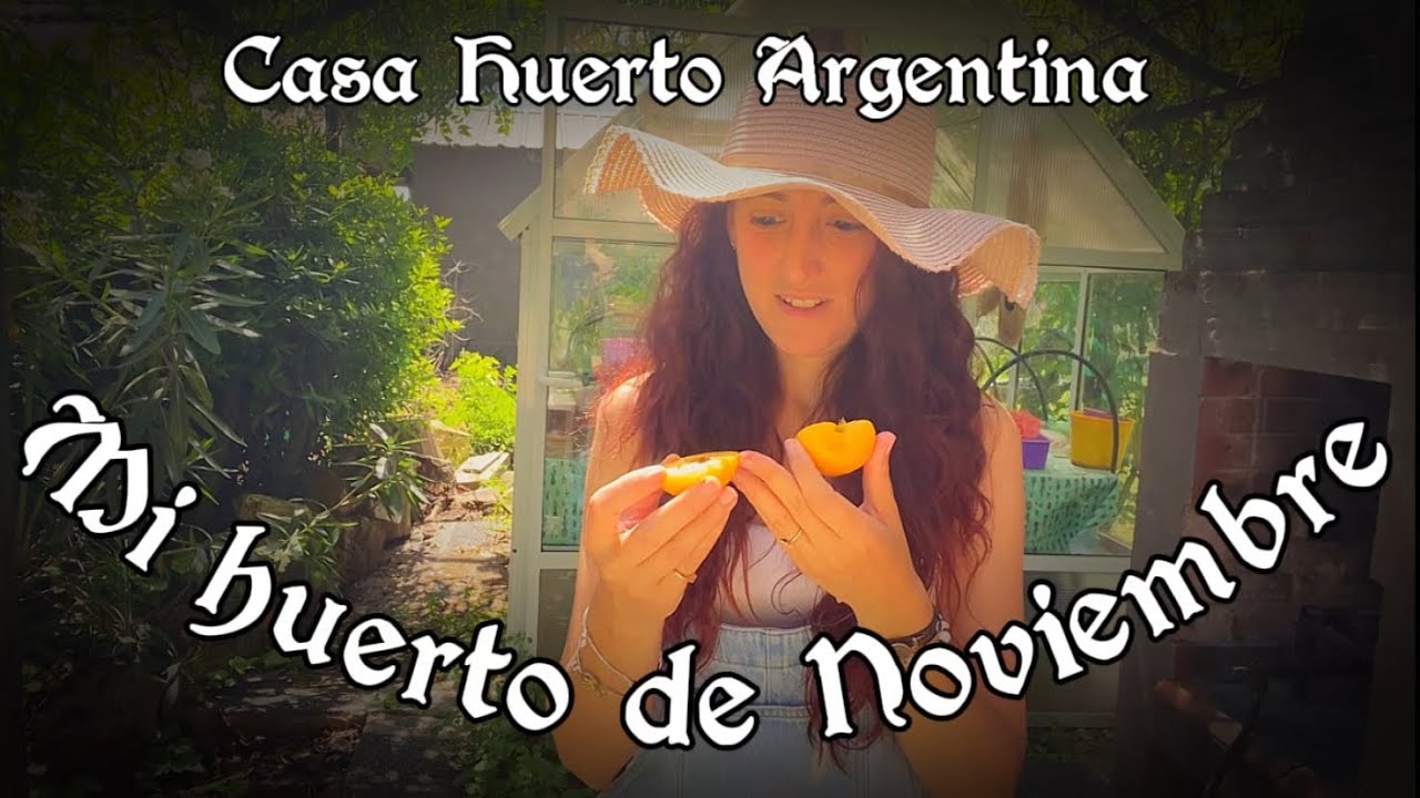 🌱Asi viene mi huerto en Noviembre, Tour de Huerto🌱