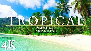Tropical Paradise 4K Ultra HD Video Relaxing Music - Peaceful Piano Music For Stress Relief by love music 715 views 3 years ago 1 hour, 20 minutes