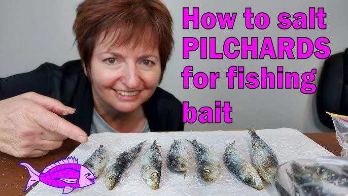 Bait Presentation - Half Pilchards