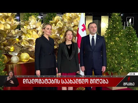 დიპლომატების საახალწლო მიღება