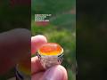 sunkist baturaja mustika air #batuakik #gemstone