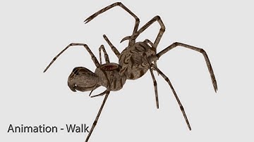 Spider Monster Animations - 3D Game Model
