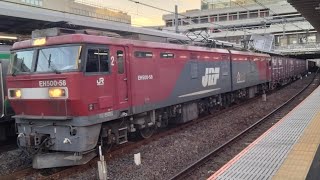 【まさかの臨時停車…】JR貨物EH500形58号機+コキ20両が大宮駅10番線をブルワーを起動して発車するシーン(93列車・仙貨A122・コンテナ輸送)2023/12/27