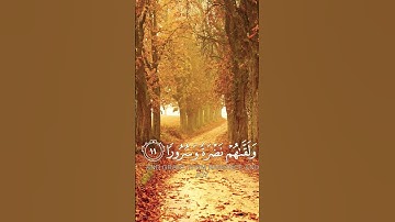 إنا نخاف من ربنا #تلاوات_خاشعة #قران_كريم #تلاوة_مميزة#سورة_الانسان  #تلاوات_نادرة #جميلة_جداً#موت