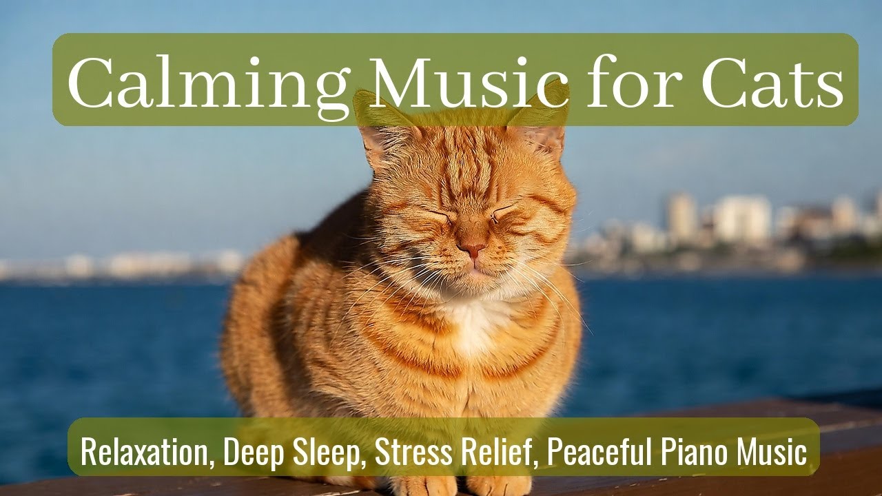 Calming Music for Cats - Relaxation, Deep Sleep, Stress Relief, Peaceful Piano Music | Season 73