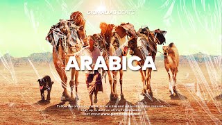 🐫"Arabica"🐫 - ARABIC Moombahton BEAT x Urban REGGAETON x DJ SNAKE Type beat by Giomalias Beats