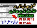 Tehsil sports officer upcoming jobs through ppsc 2024 youth affairs department