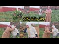 لالة حادة بكات على هادشي لي شافت وسمعات 😭😭😭