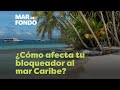 ¿Cómo afecta tu bloqueador solar al mar Caribe?