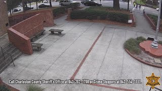 CCSO: Help ID Car