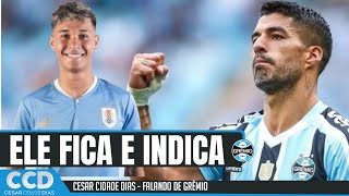 Ainda sobre Suárez: Reunião, acertos e os pedidos do jogador. Ele quer o Grêmio na Libertadores