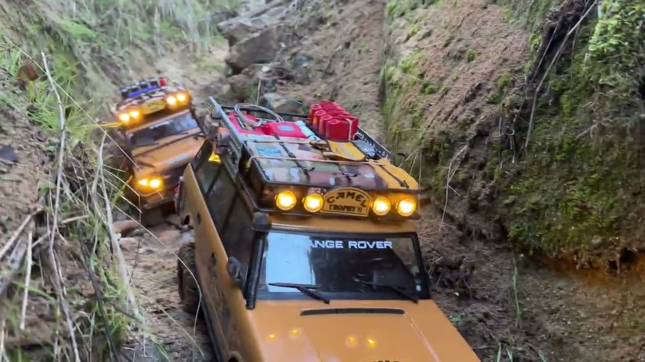 Los camel tropic de expedición 