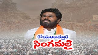 కోయంబత్తూర్‌లో ముక్కోణపు పోరు | Singham Annamalai as BJP Contest | Triangular Battle for Coimbatore
