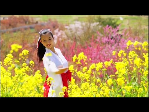 【春の福島】花見山で「神のまにまに」踊ってみた